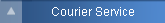 Online data storage